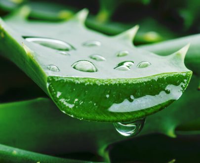 Aloe Vera Gel (Cosmetic Grade)