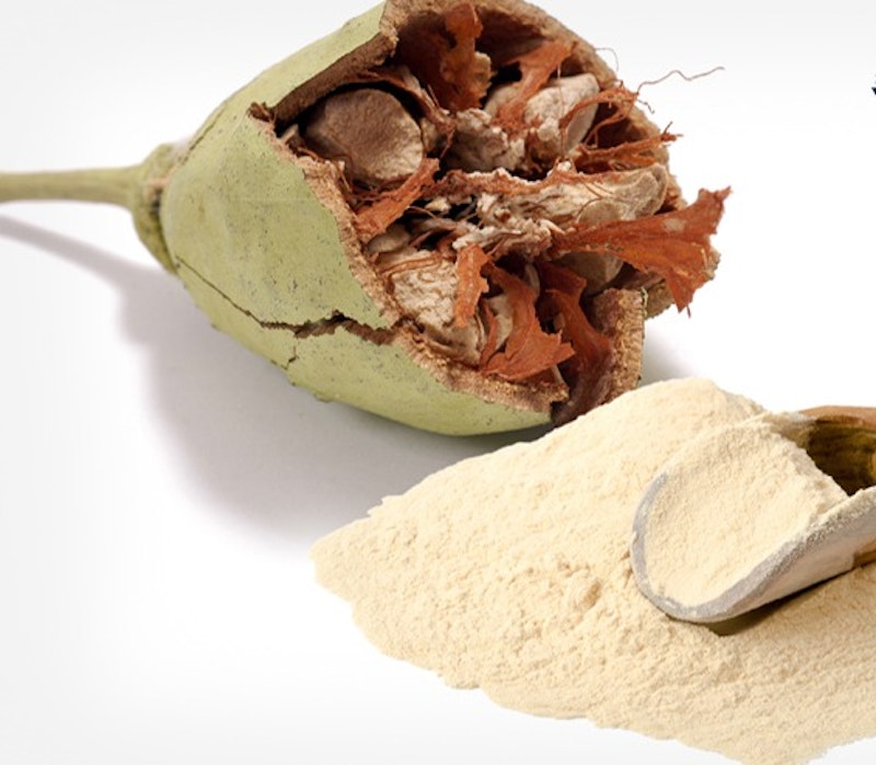 Baobab Fruit Powder - Image 4