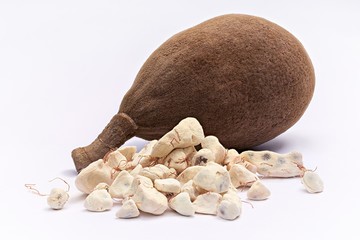 Baobab Fruit Powder - Image 3