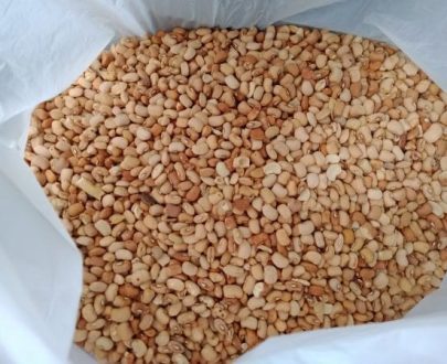 Beans Oloyin