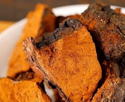 Chaga Mushrooms Powder