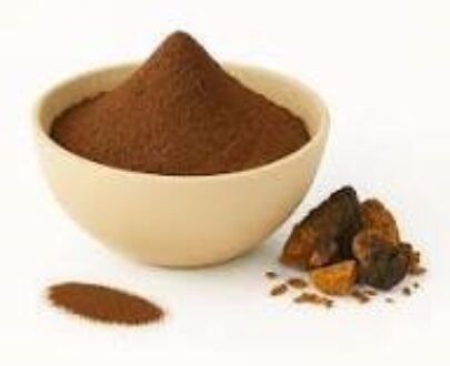 Chaga Mushrooms Powder