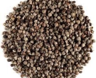 Chasteberry (Vitex) Seed