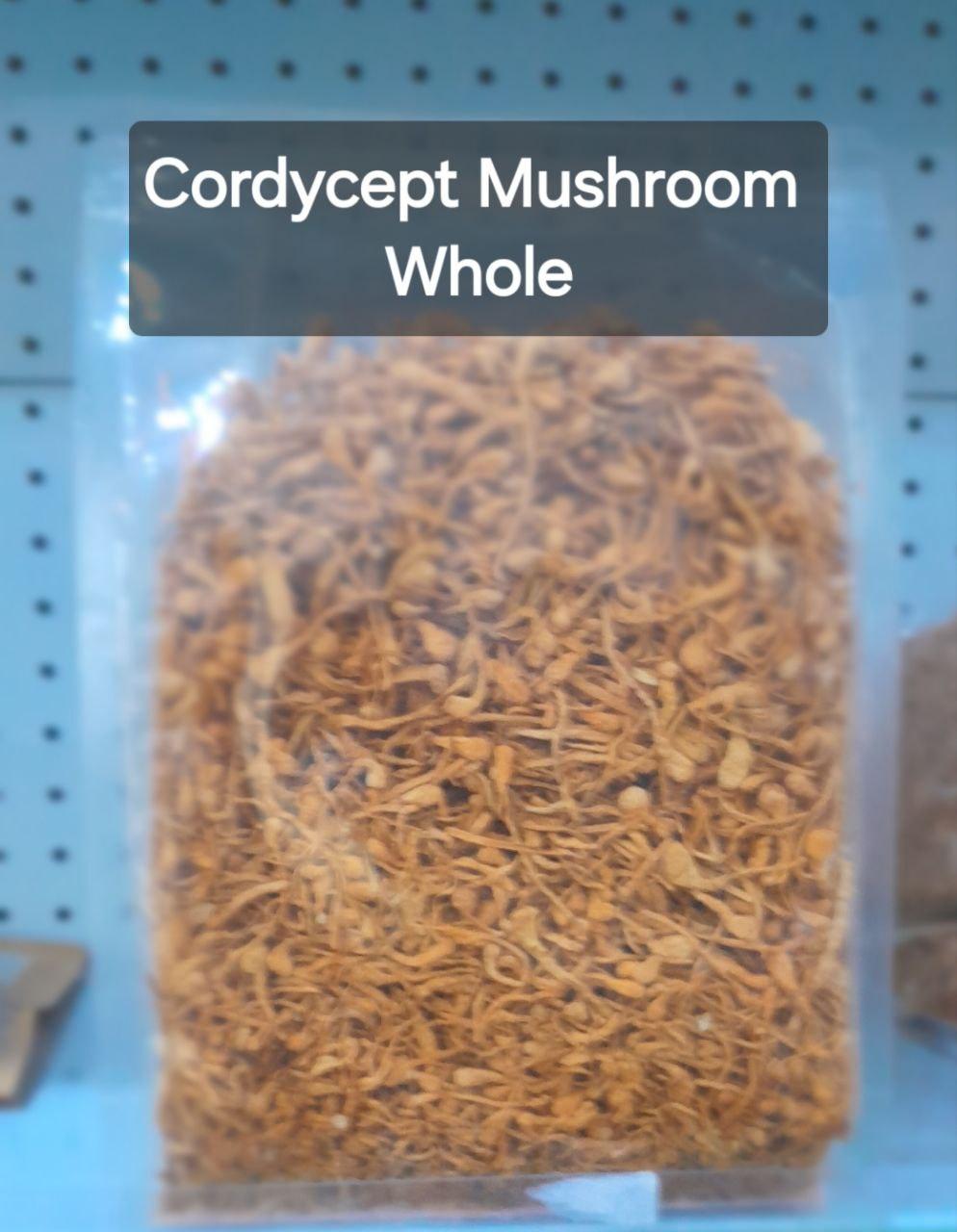 Cordyceps Mushrooms (Whole) - Image 7