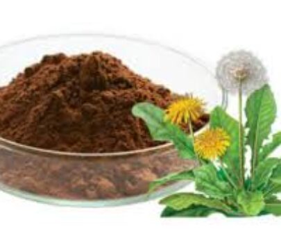 Dandelion Extract