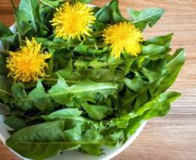 Dandelion  Leaf Powder