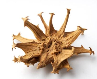 Devil’s Claw Powder