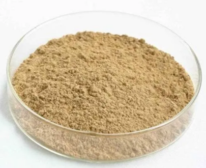 Devil’s Claw Powder