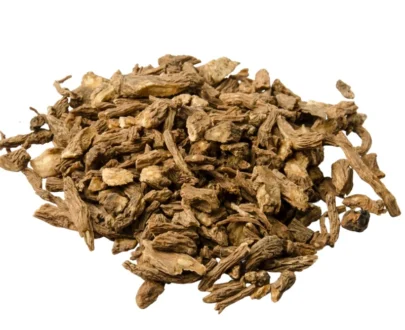 Dong Quai Root