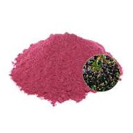 Elderberry Powder - Image 4