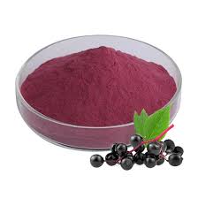 Elderberry Powder