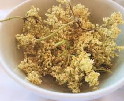 Elderflower Dried