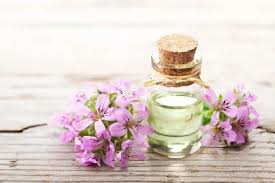 Geranium Essential Oil