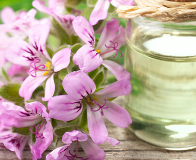 Geranium Essential Oil