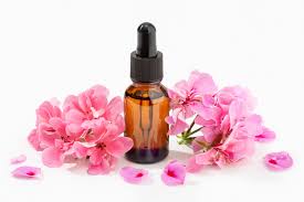 Geranium Essential Oil - Image 3