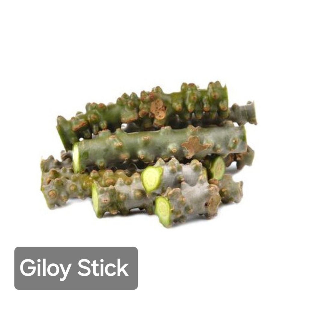 Giloy Sticks (Guduchi) - Image 2