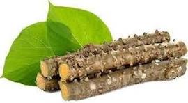 Giloy Sticks (Guduchi) - Image 3