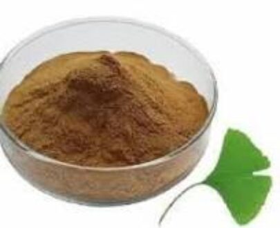 Ginkgo Biloba Extract