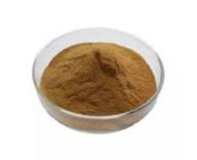 Ginseng Leaf Extract Powder (Cosmetic Grade)