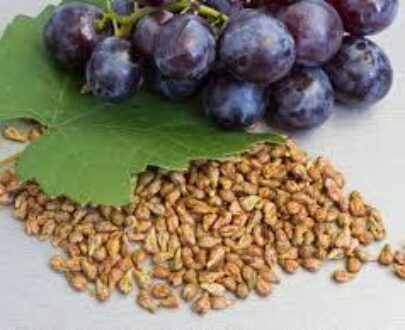 Grape Seed