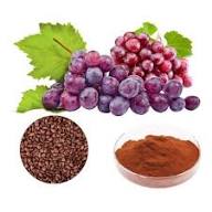 Grape Seed - Image 6