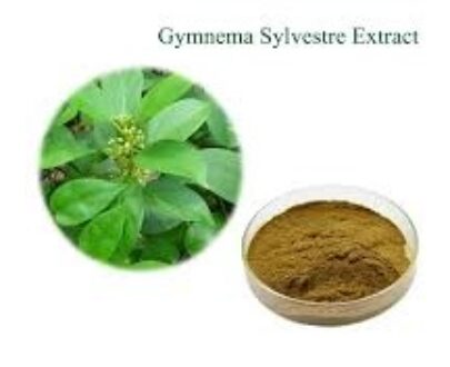 Gurmar/Gymnena Sylvester Extract Powder