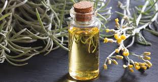 Helichrysum Essential Oil - Image 2
