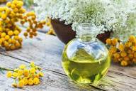 Helichrysum Essential Oil - Image 4