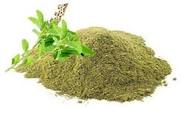 Holy Basil (Tulsi) Leaf Powder - Image 2