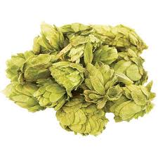 Hops Leaf - Image 2