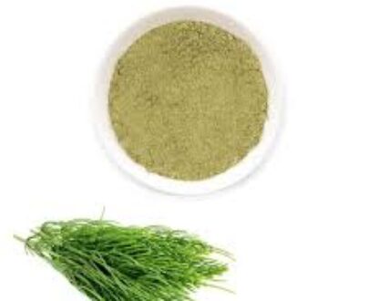 Horsetail Leaf Powder