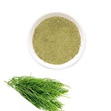 Horsetail Leaf Powder - Image 2