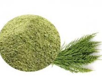 Horsetail Leaf Powder