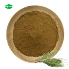Horsetail Leaf Powder - Image 3