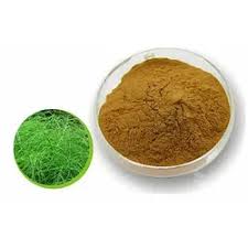 Horsetail Extract Powder