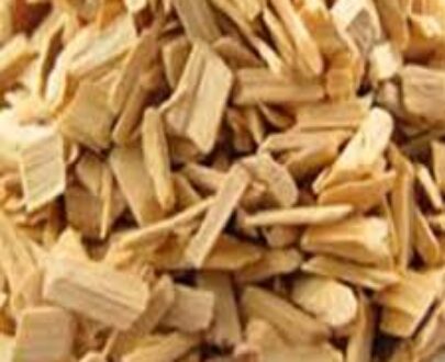 Hydrangea Root