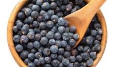 Juniper Berry Dry Fruit2