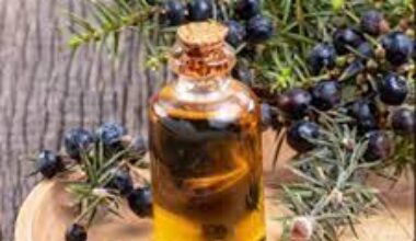 Juniper Berry Essential Oil