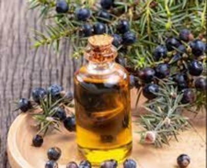 Juniper Berry Essential Oil