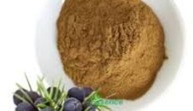Juniper Berry Powder1