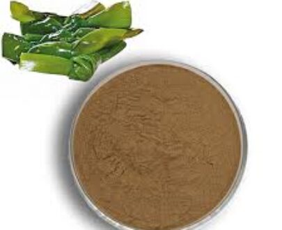 Kelp Extract