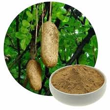 Kigelia Africana Powder