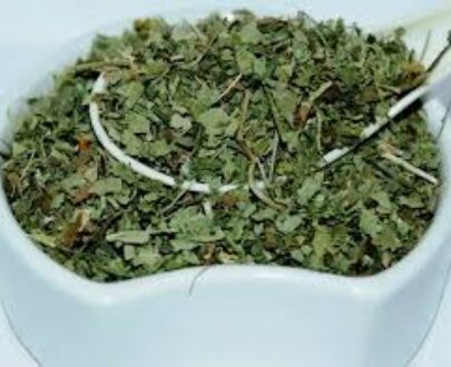 Lady’s Mantle Herb