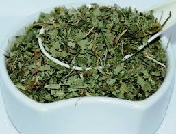 Lady’s Mantle Herb