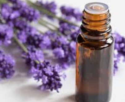 Lavender Essential Oil (French)