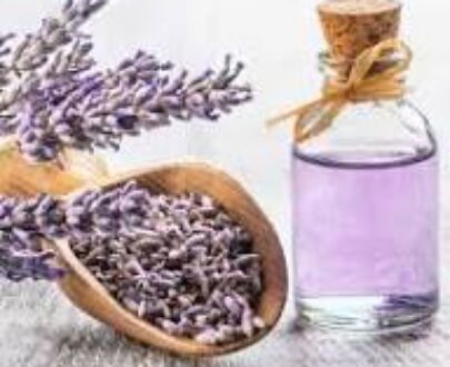 Lavender Essential Oil (French)