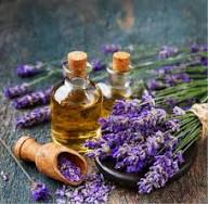 Lavender Fragrance Oil (Cosmetic Grade) - Image 2
