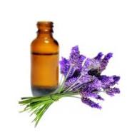 Lavender Fragrance Oil (Cosmetic Grade) - Image 3