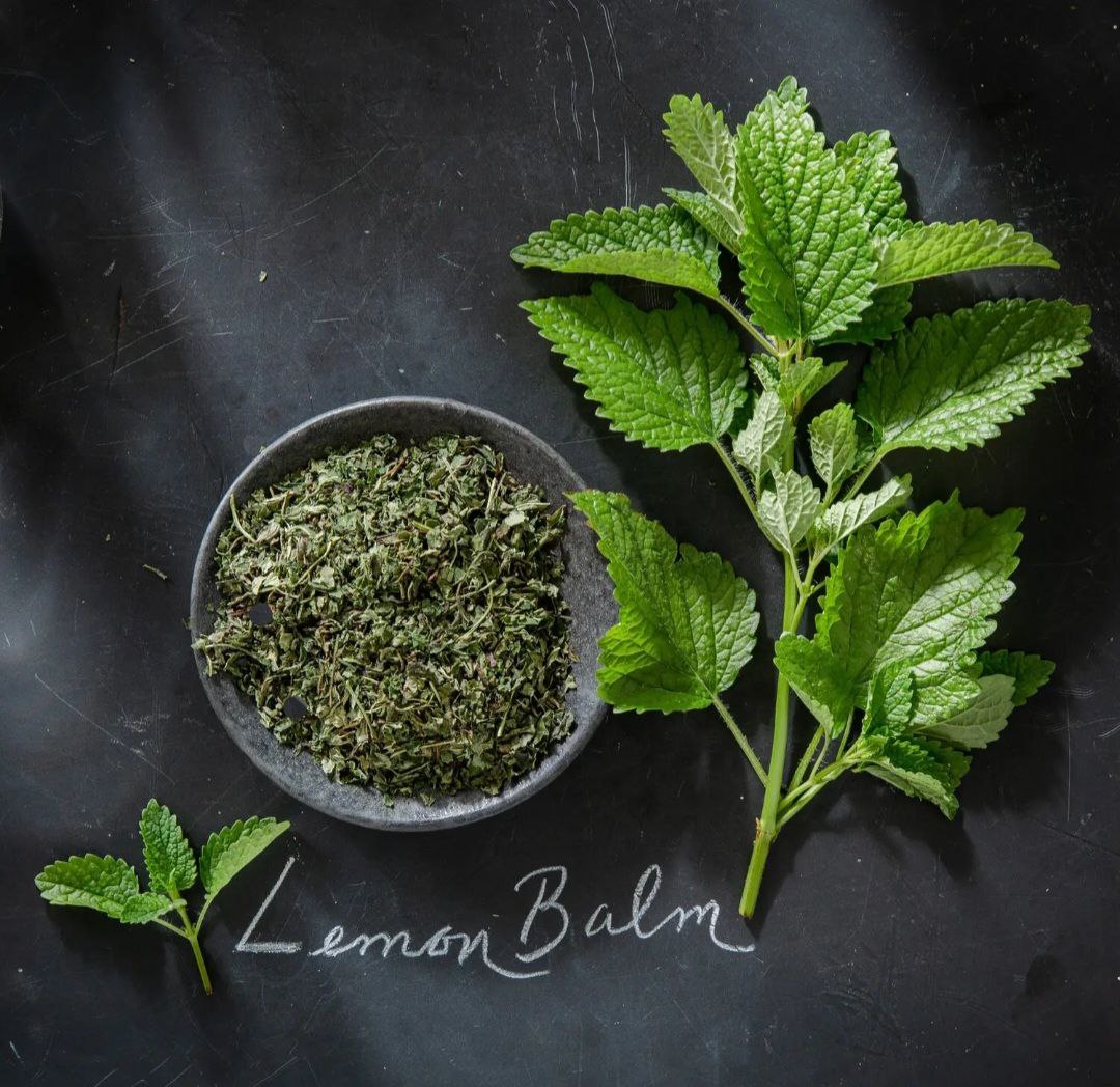 Lemon Balm Herb - Image 3