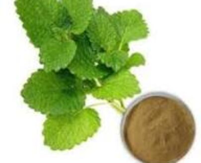 Lemon Balm Herb Powder